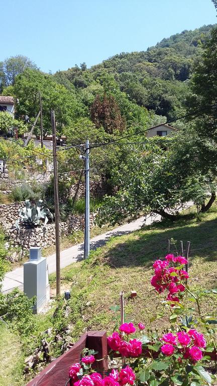 Apartment Ilario Cres Zewnętrze zdjęcie